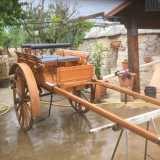All�ingresso della struttura troviamo una vagnarol, che prende il nome dalla �vignarola�, un tipo di legno che veniva prodotto a Corato. E� un carro pi� elegante di quelli visti in precedenza: di color ocra, pi� leggero, arricchito da sedili in pelle e dotato di ruote di medie dimensioni

